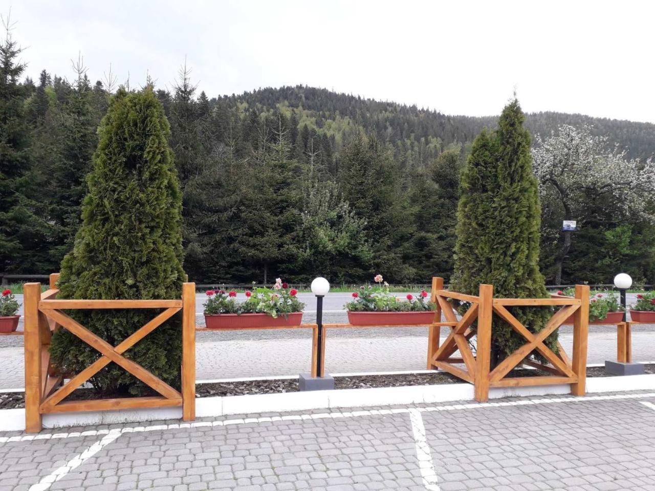 Готель Ольга Bukovel Eksteriør billede